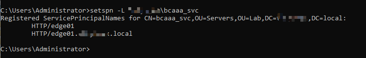 image-20250827100236405